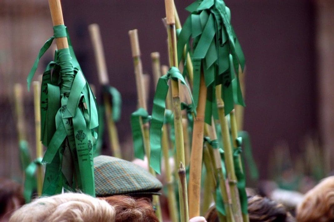 03/03/2018 Romeria de les Canyes, Romería de las Cañas, Castellón, Magdalena SOCIEDAD COMUNIDAD VALENCIANA ESPAÑA EUROPA CASTELLÓN CULTURA COMUNITAT VALENCIANA TURISME (@C_VALENCIANA)