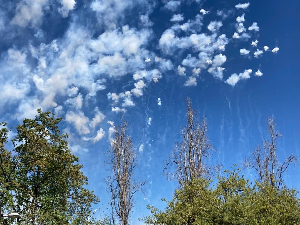 Magdalena 2025. Última mascletà Pibierzo. Domingo 30 marzo.