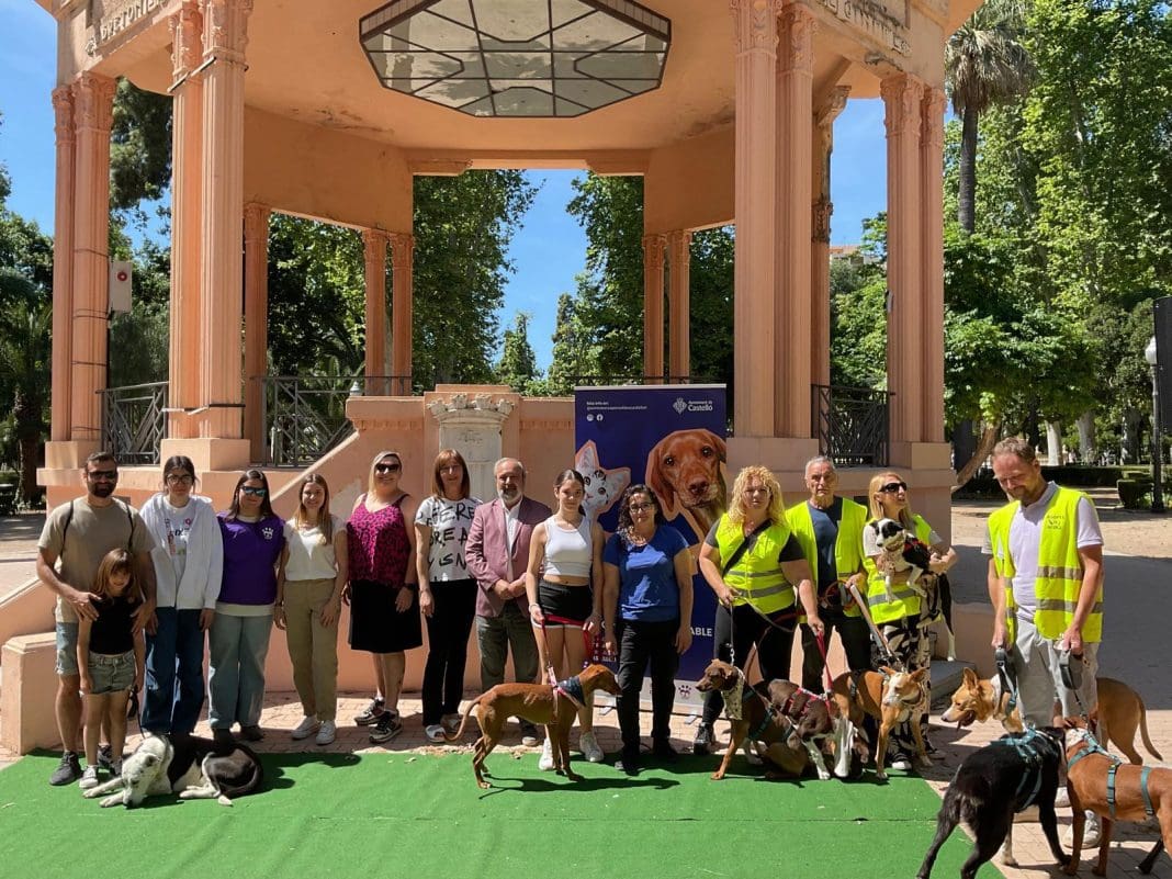 jornada adopción mascotas