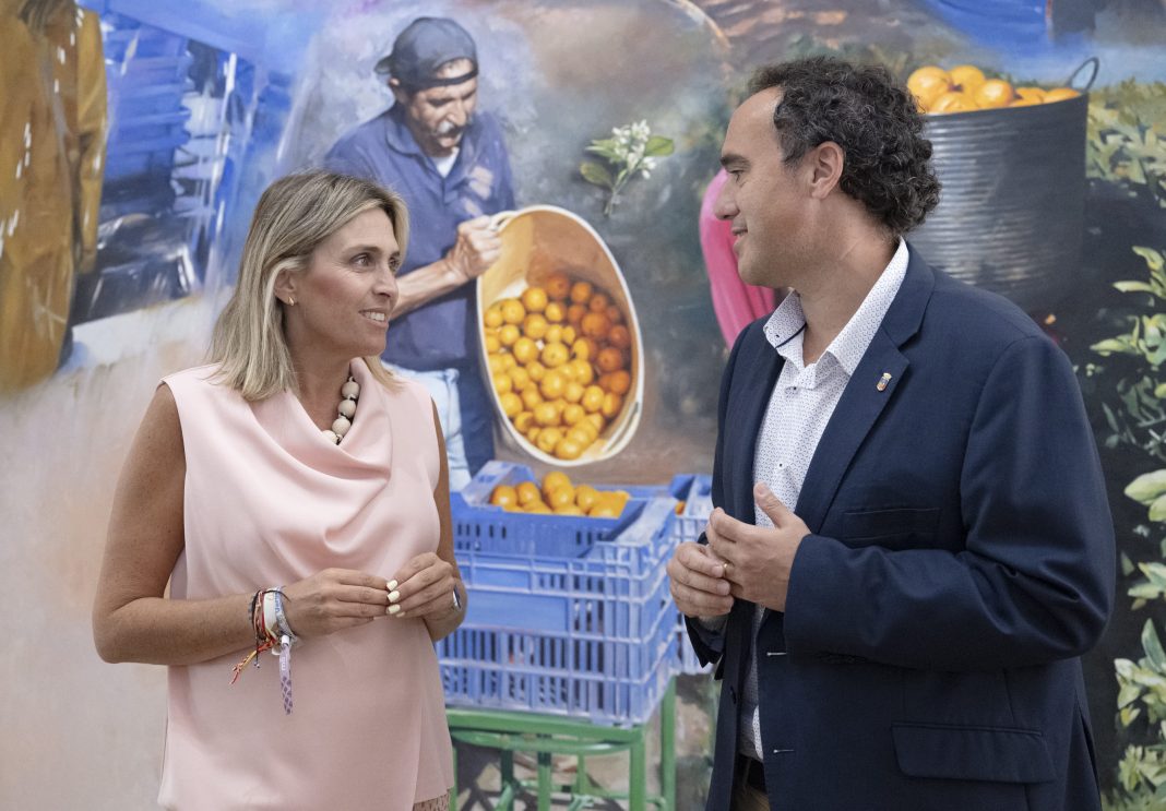 señal televisiva diputación