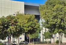 La UJI presenta nuevas evidencias sobre ejercicio y cáncer en un congreso que reunirá a referentes nacionales