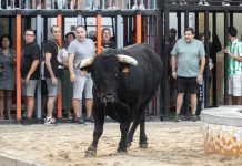 La Llosa despide unas fiestas patronales multitudinarias marcadas por la tradición y el buen ambiente