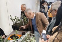 Barrachina pone en valor a los jóvenes agricultores del Alto Palancia