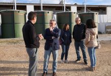 Barrachina anuncia la ampliación de las ayudas para proteger a las granjas de la peste porcina africana