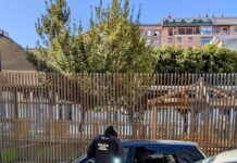 Dos jóvenes detenidos en el Parque del Oeste de Castellón por propiciar daños a numerosos vehículos