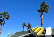 Bomberos atiende cerca de un centenar de incidencias por viento