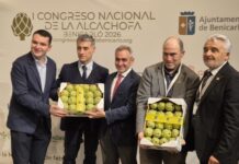 Impulso a la Denominación de Origen Protegido de la Alcachofa de Benicarló