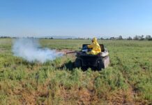 Nules refuerza la prevención contra los mosquitos y pide colaboración ciudadana