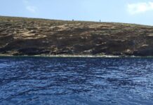 La Generalitat refuerza la vigilancia en les Illes Columbretes con una inversión de 500.000 euros