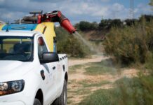 Almassora duplica las jornadas de control de mosquitos con un nuevo contrato