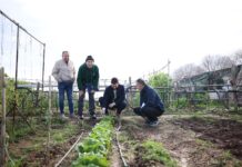 Burriana mejora sus Huertos de Ocio para que los mayores sigan cultivando vida activa