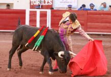 Ian Bermejo representa a Castellón en el encuentro mundial de Escuelas Taurinas de México