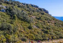 Rutas de senderismo en Castellón para disfrutar en mayo: naturaleza, pueblos y paisajes de primavera