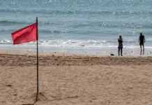 Cierra al baño la playa de Torre de la Sal por contaminación de Escherichia coli