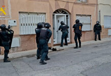 Más de 600 plantas de marihuana y dos armas largas en dos cultivos indoor de Almassora y Castellón