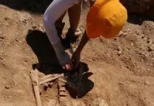 La UJI forma a estudiantes y profesionales en arqueología funeraria en El Palau