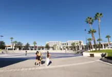 El Consell autoriza 23 nuevas titulaciones y extingue enseñanzas de la UJI