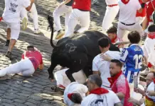Una mujer de l’Alcora resulta herida en el último encierro de San Fermín Toro y mozos durante el último encierro de los Sanfermines, en Plaza Consistorial
