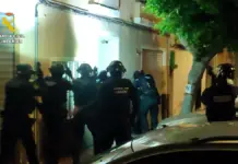 Prisión para dos detenidos por una plantación de marihuana en una granja porcina de La Salzadella