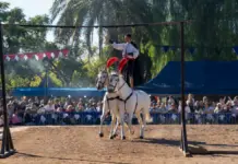 Nules recibe 6.400 euros para promocionar la Feria Medieval de Mascarell