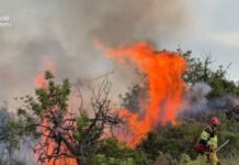 Incendio estabilizado en Peñíscola tras frenar el avance hacia una urbanización