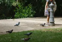 El calor deja 253 muertes este verano en la Comunitat Valenciana, 44 en Castellón Mujer rellenando una botella de agua en una fuente pública en un parque