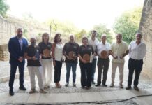 Diputación de Castellón premia los mejores aceites de oliva virgen extra en la V edición de los Premios AOVE