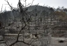 El gran incendio de la Vall d’Uixó queda controlado tras arrasar 9.568 hectáreas Bomberos trabajan en una zona afectada por un incendio, prestando atención a Tales y Eslida.
