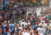 Segorbe abre su semana taurina con una Entrada de Toros y Caballos de 51 segundos