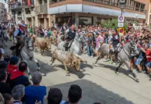 La cuarta Entrada de Toros y Caballos de Segorbe firma la carrera más rápida de la semana