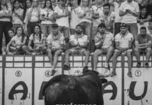 Nules obre a les penyes el patrocini d'actes de les festes de la Soledat