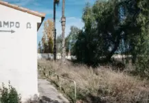 Castelló recupera els antics Camps Federatius amb dos camps de futbol operatius el 2027