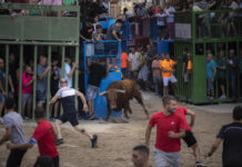 Fallece un hombre de 80 años tras alcanzarlo un toro en los «bous al carrer» en La Vilavella