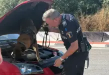 Detenido en Burriana con 55 gramos de cocaína y cerca de 3.000 euros tras huir de la Policía